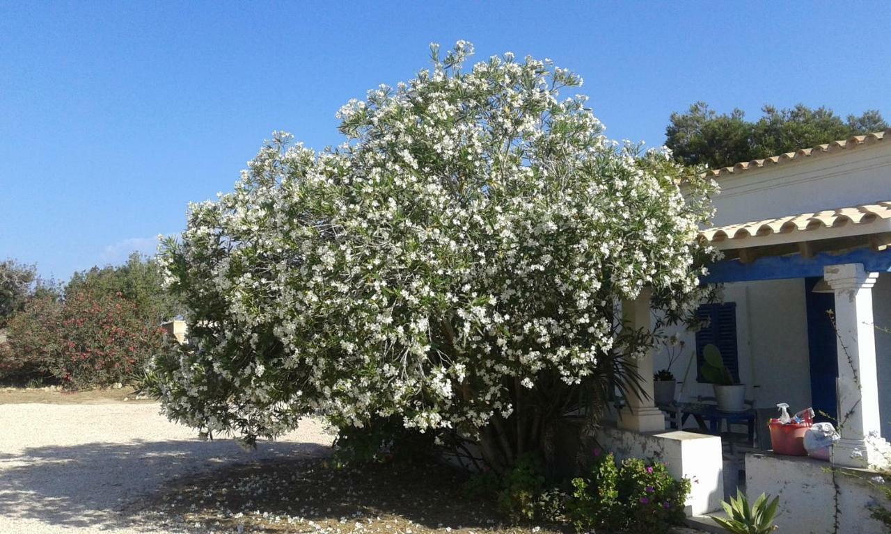 Can Gallet 1 San Francisco Javier المظهر الخارجي الصورة